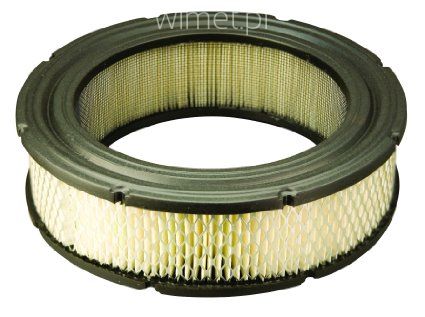 692519 Filtr powietrza do silników z serii Vanguard