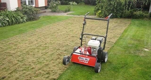 Pielęgnacja trawnika na wiosnę i jesień: wertykulacja i aeracja